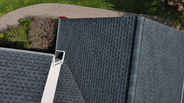 Best Green or Eco-Friendly Roofing Solutions  in Warren, MN