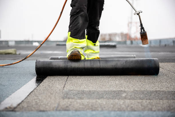 Best Roof Maintenance and Cleaning  in Warren, MN